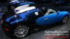 Filename=BugattiVeyronBackBestLeftGenf2007~0.jpg
Filesize=286KB
Dimensions=709x401
Date added=Jan 27, 2008 BugattiVeyronBackBestLeftGenf2007~0.jpg