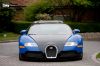Filename=Bugatti_Veyron_30.jpg
Filesize=236KB
Dimensions=1600x1067
Date added=Jun 15, 2008 Bugatti_Veyron_30.jpg