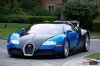 Bugatti_Veyron_31.jpg