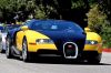 Filename=indexfgsj.jpg
Filesize=83KB
Dimensions=800x533
Date added=Jun 15, 2008 indexfgsj.jpg