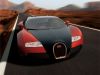Bugatti222~0.jpg