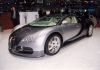 Bugatti_VW_Veyron_16-4_044.jpg