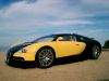 EB_Veyron_Autoart_18_001.jpg