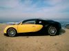 EB_Veyron_Autoart_18_003.jpg