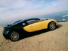 EB_Veyron_Autoart_18_006.jpg