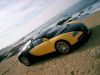 EB_Veyron_Autoart_18_008.jpg