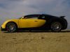 EB_Veyron_Autoart_18_020.jpg