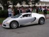 Veyron_001_06.jpg