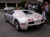 Veyron_001_07.jpg