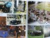 auction91807091.jpg