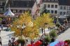 Filename=DSC_0126.JPG
Filesize=1596KB
Dimensions=3008x2000
Date added=Sep 21, 2007 DSC_0126.JPG