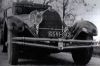 Filename=46246-1.jpg
Filesize=25KB
Dimensions=300x200
Date added=Feb 10, 2018 46246-1.jpg