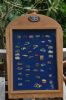 Filename=DSC_6919.JPG
Filesize=1447KB
Dimensions=1600x2400
Date added=May 24, 2016 DSC_6919.JPG